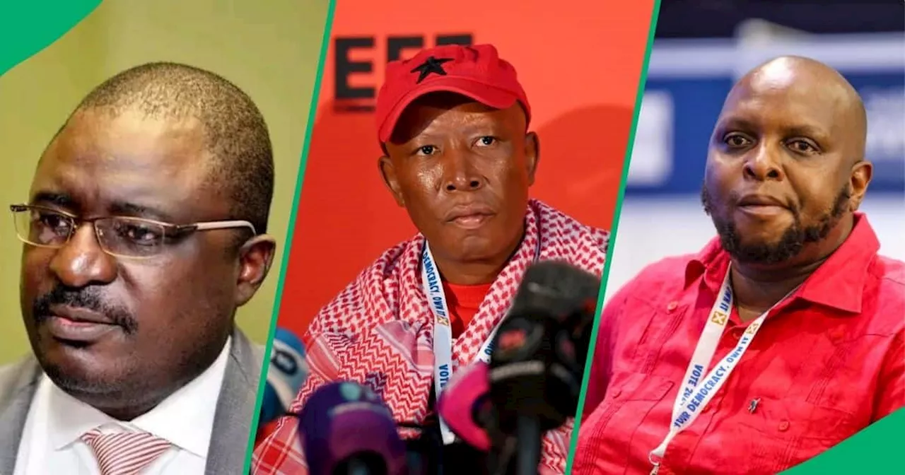 Netizens Shocked by Former VBS Chairperson's 495 Years Imprisonment: 'Where's Malema and Shivambu'