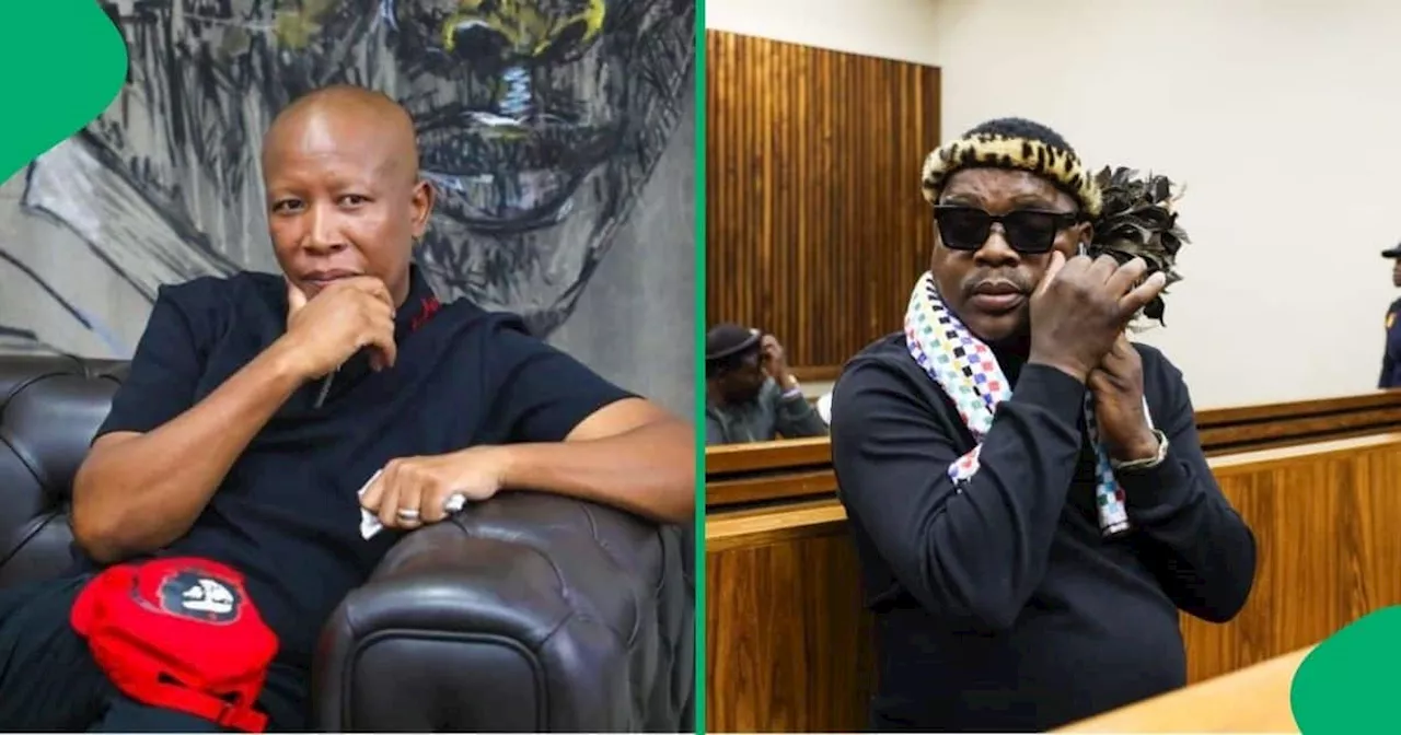 Ngizwe Mchunu Apologises to Julius Malema After Tribalistic Remarks, Video Sparks Debate