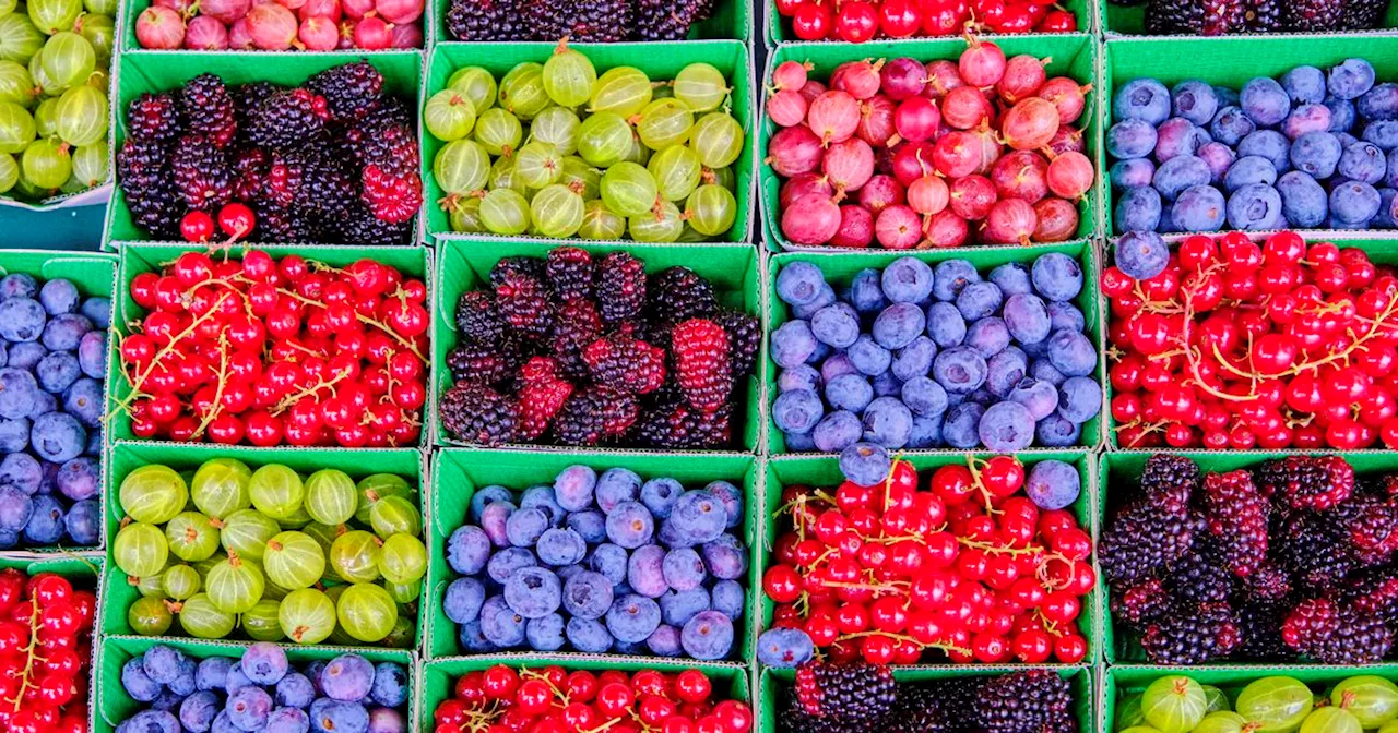 Saisonkalender Juli: Dieses Obst und Gemüse essen wir im Juli besonders gern