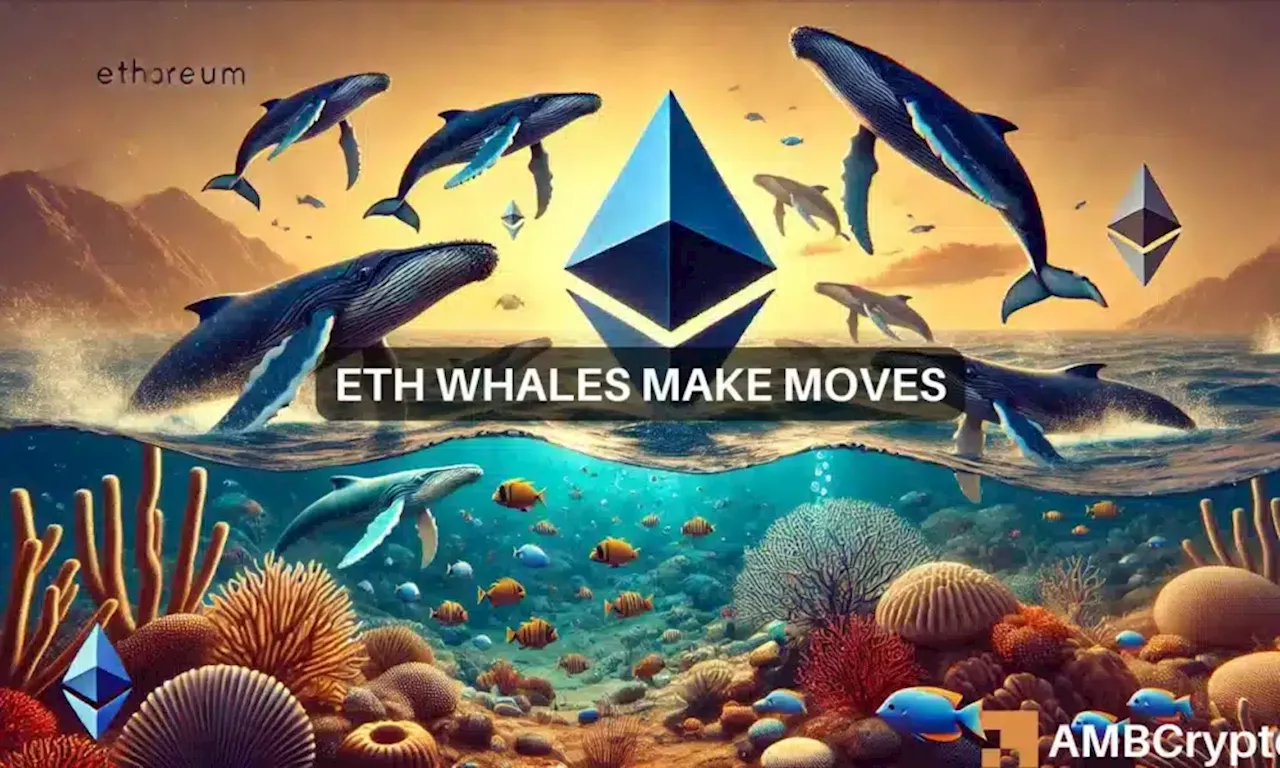 Ethereum rebounds, whales scoop ETH: Will the ETF approval boost gains?