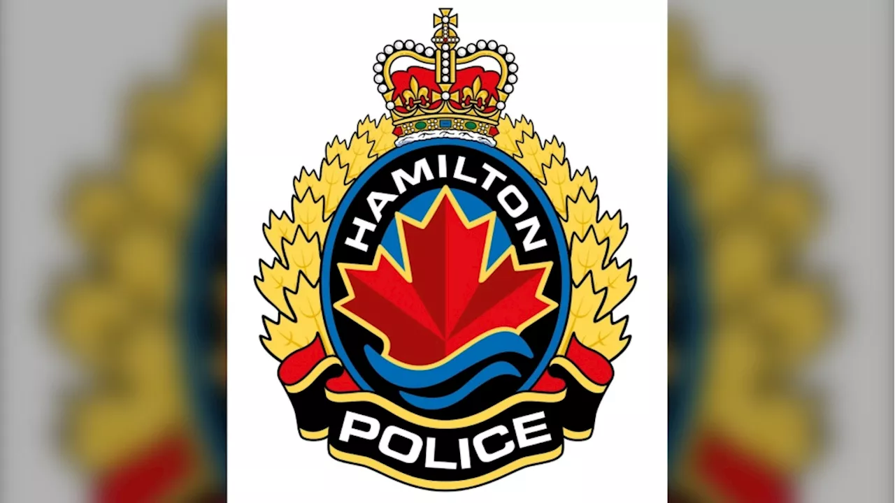 Man facing charges after 36 vehicles damaged in spree with machete: Hamilton police