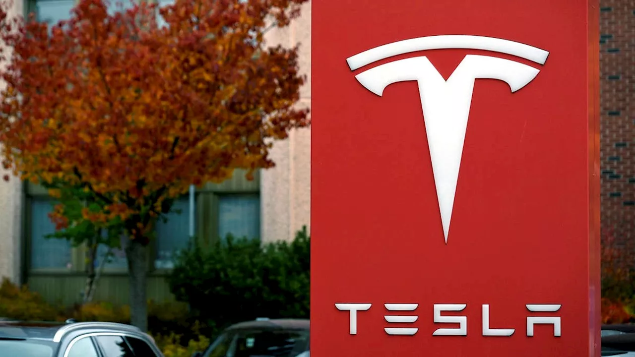 Bill Gross: Tesla beter sig som en memeaktie