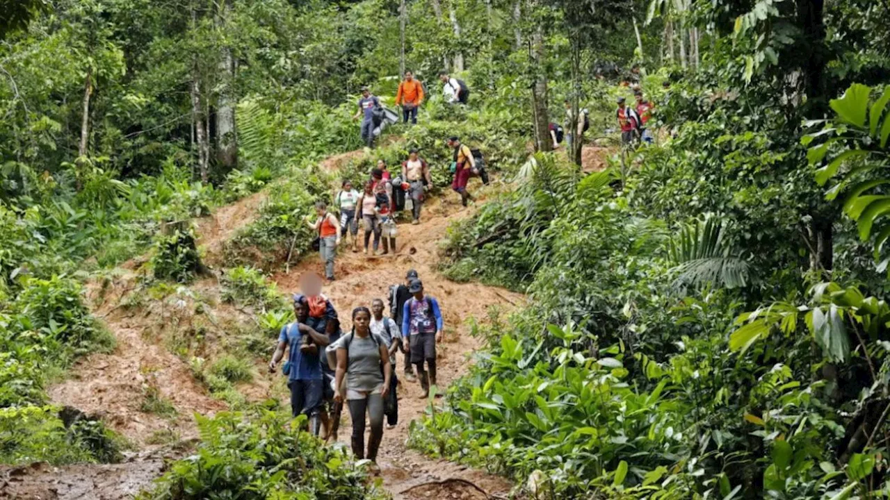 Panamá aumenta el cierre de pasos en la selva de Darién