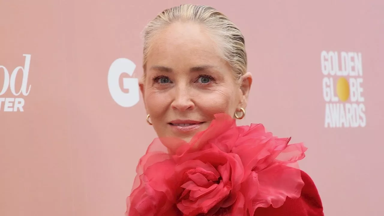 Sharon Stone Says She Lost $18 Million Fortune Following 2001 Stroke: 'I Had Zero Money'