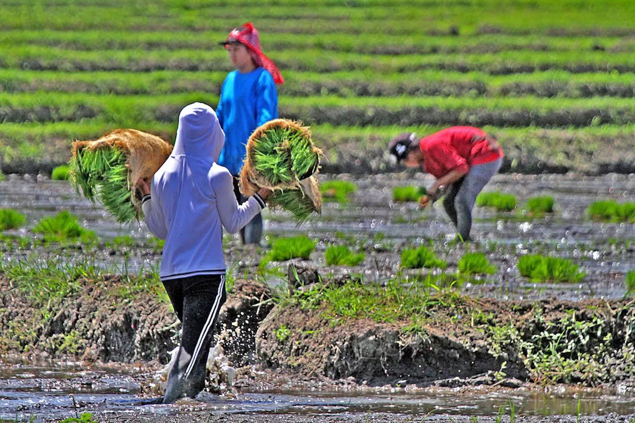 BOI: Collab with DA yields P9.59B worth of agri projects