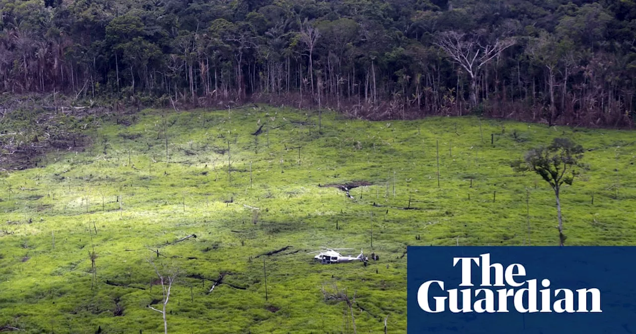 Deforestation in Colombia falls to lowest level in 23 years