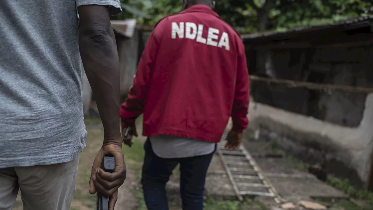 NDLEA to deploy body cameras for safety
