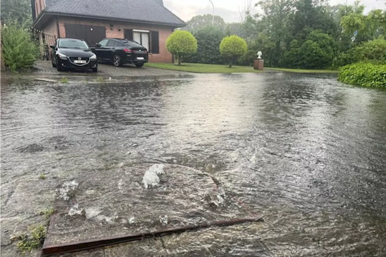 Onweer over Herentals: straten blank en afgerukte takken