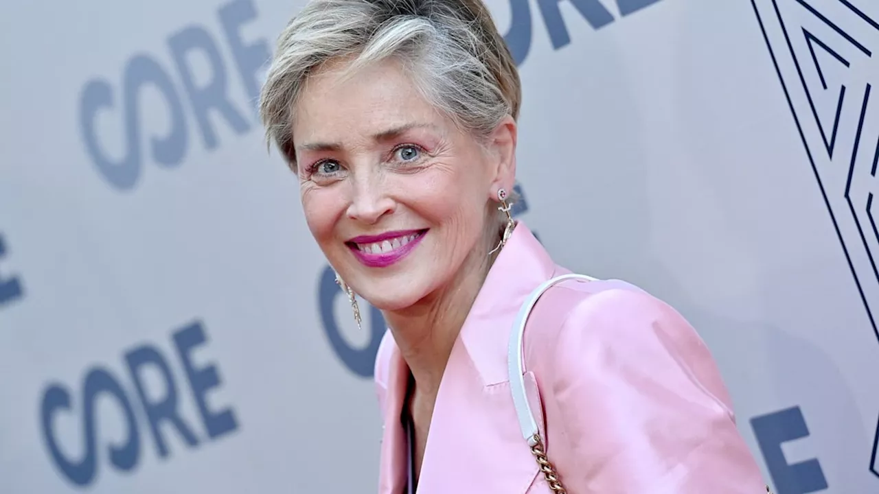 Sharon Stone admits she had 'zero money’ after losing multi-million dollar fortune following devastating stroke