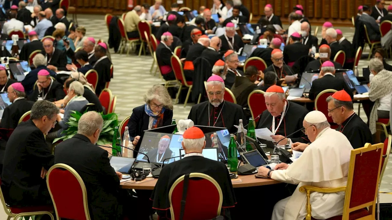 Synod: Transparency and accountability as methods for the Church too