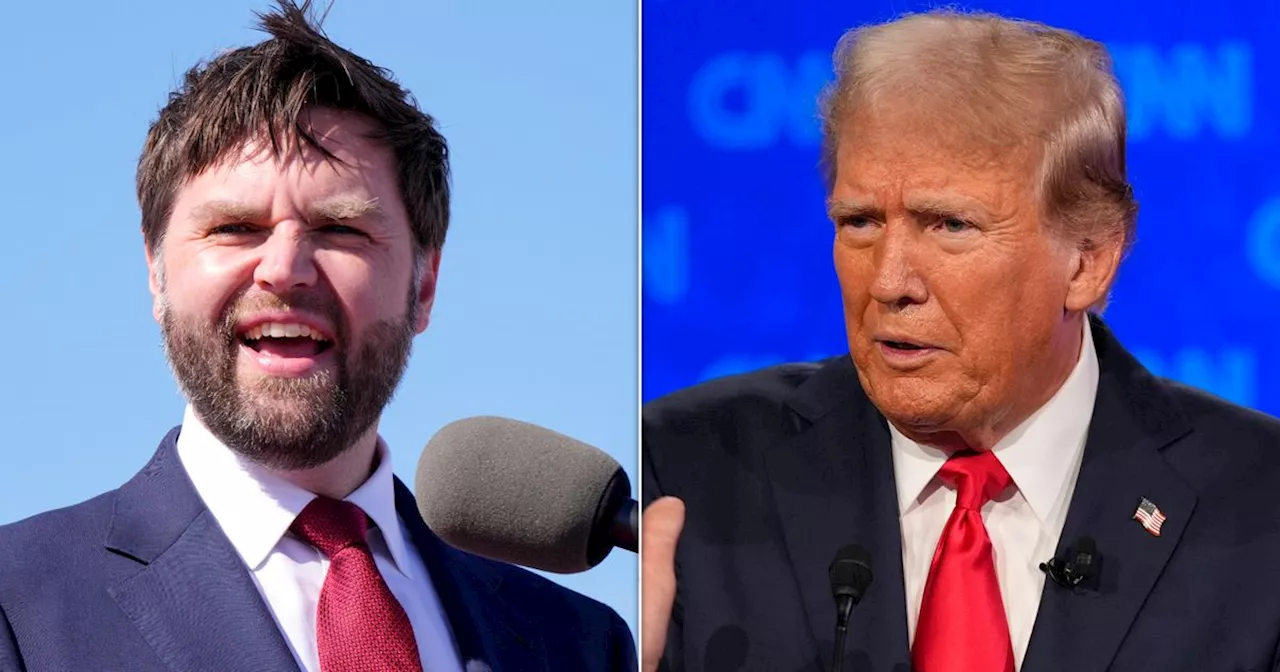 Trump Denies J.D. Vance's Beard Will Affect His VP Chances