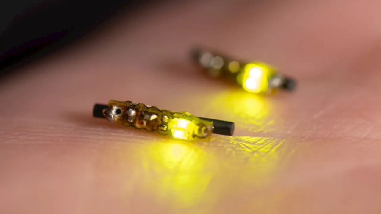 Rice-sized warrior: New LED device uses light to destroy deep cancers