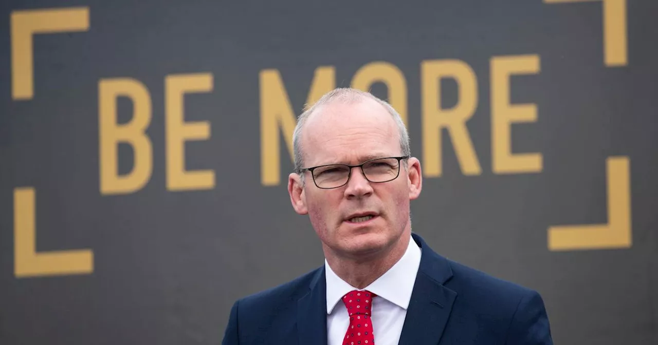 Former Tánaiste Simon Coveney will not contest next election for Fine Gael