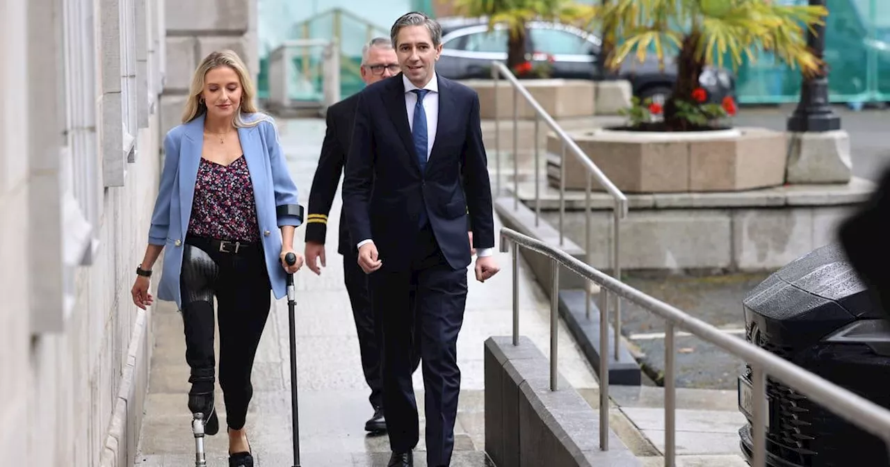 Simon Harris ‘happy’ for John McGahon to seek Fine Gael nomination despite court fine for assault and battery