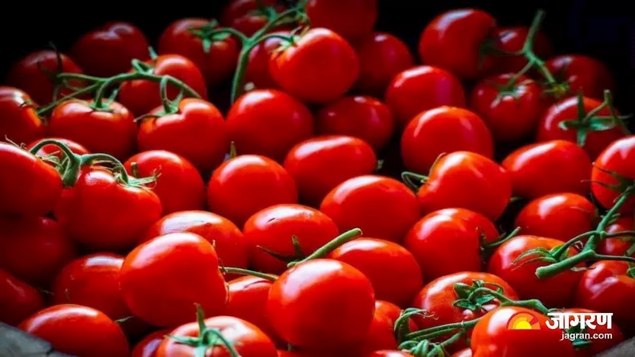 Tomato Price Hike: टमाटर की कीमतों में नहीं आ रही है गिरावट, राजधानी दिल्ली में 90 रुपये प्रति किलो हो गया भाव