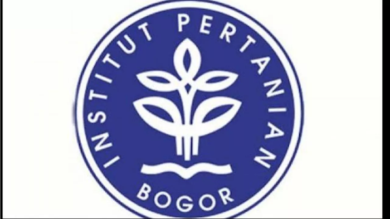 Pengumuman SM IPB 2024 Skor UTBK dan Ujian Online Hari Ini, Simak Link dan Cara Ceknya