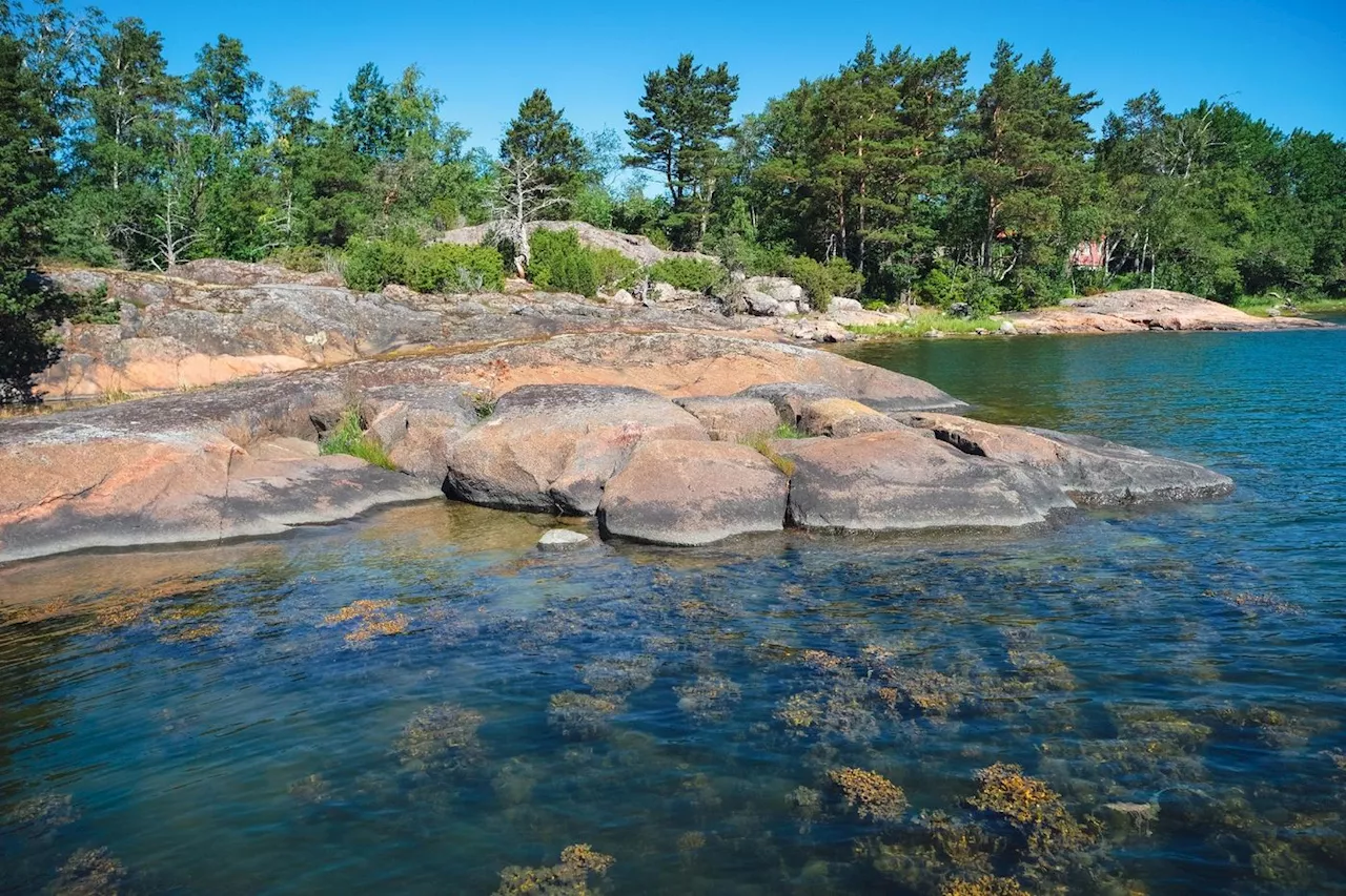 La mer Baltique, un laboratoire pour préserver les océans du réchauffement