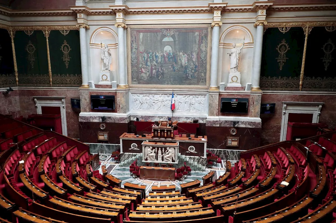 Législatives 2024 : la parité recule à Assemblée