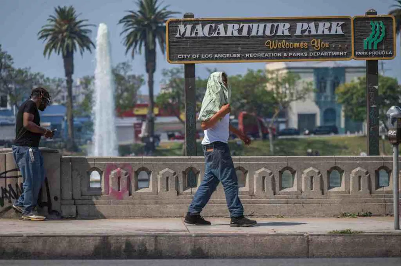 City’s $2.5 million plan to close road in MacArthur Park raises local eyebrows