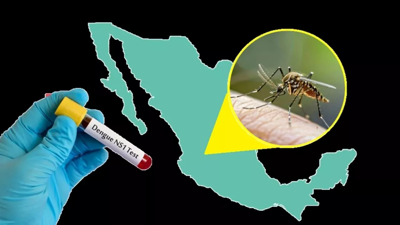 Contagios por dengue aumentan 360% en México de enero a junio