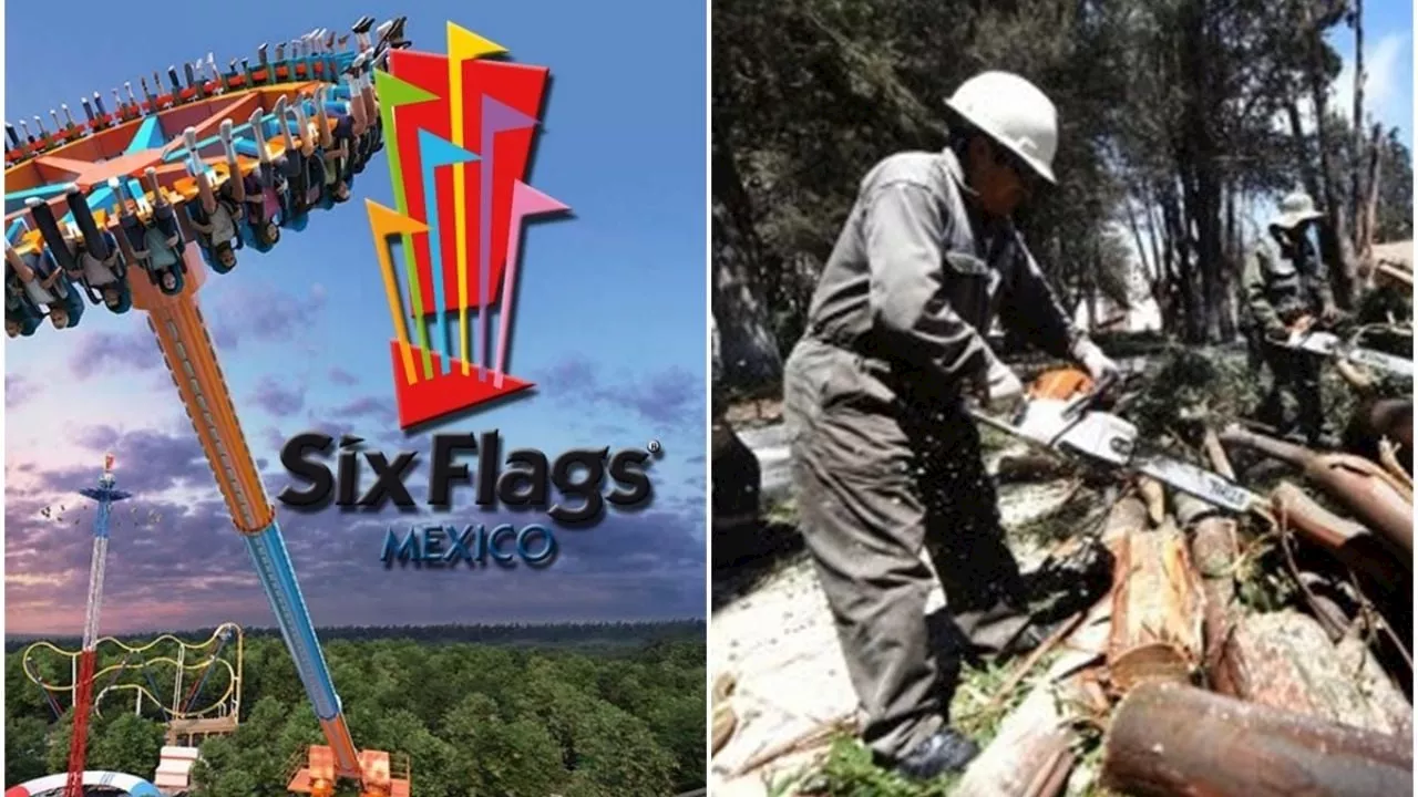 Six Flags: Vecinos de Tlalpan denuncian ecocidio para poner nueva montaña rusa