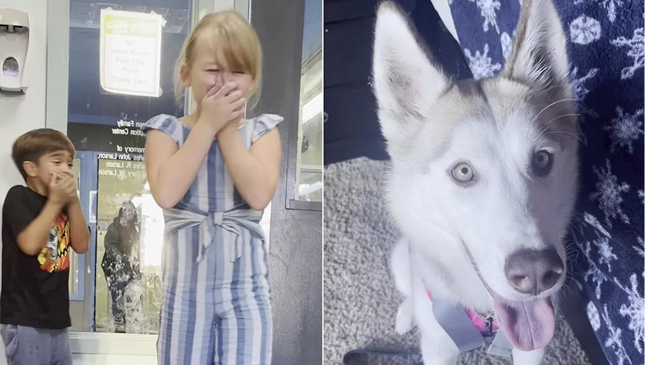 Vanno ad adottare il cane Sadie, l’emozione dei bambini è contagiosa