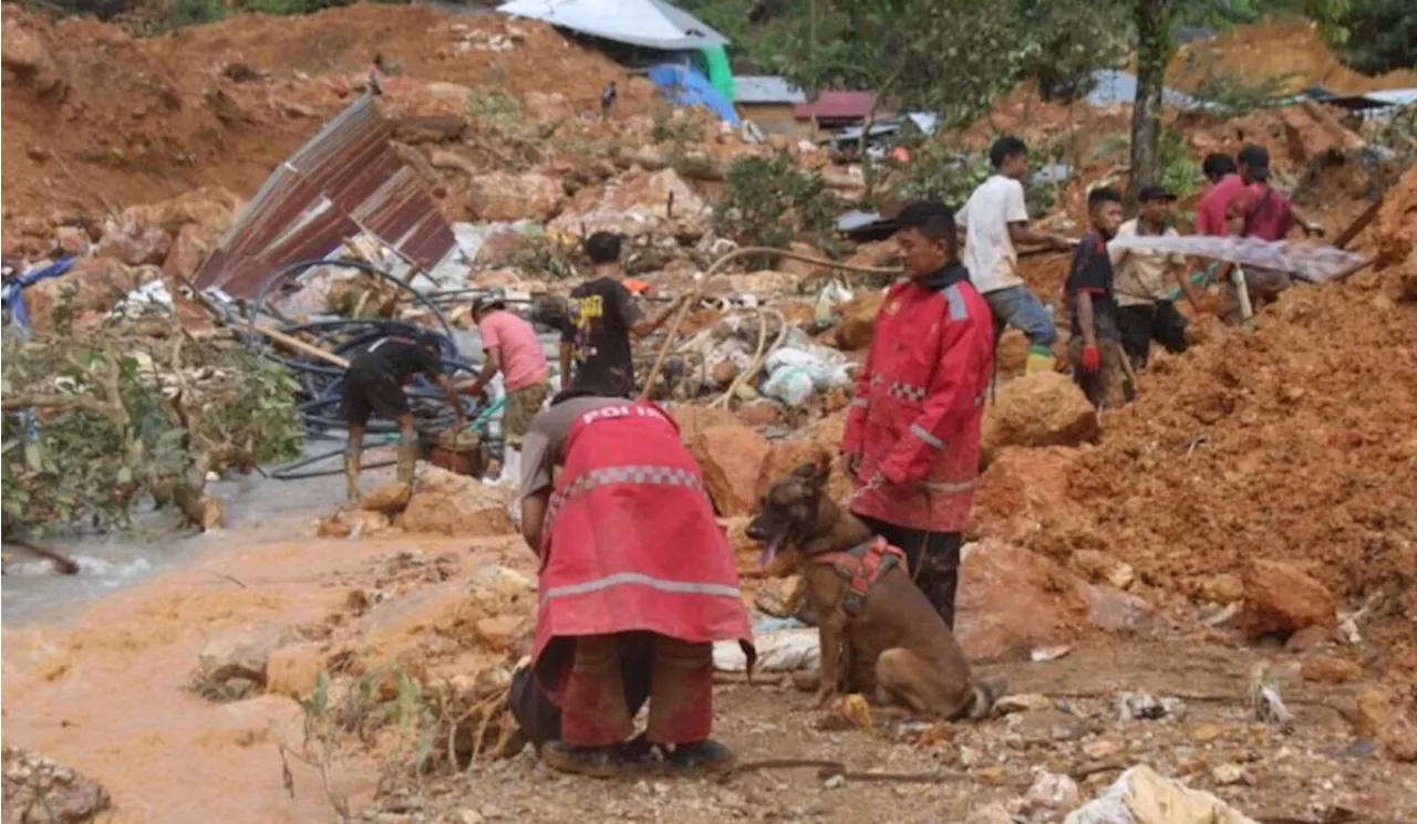 K-9 Permudah Pencarian Korban Tanah Longsor Tambang Emas Bone Bolango