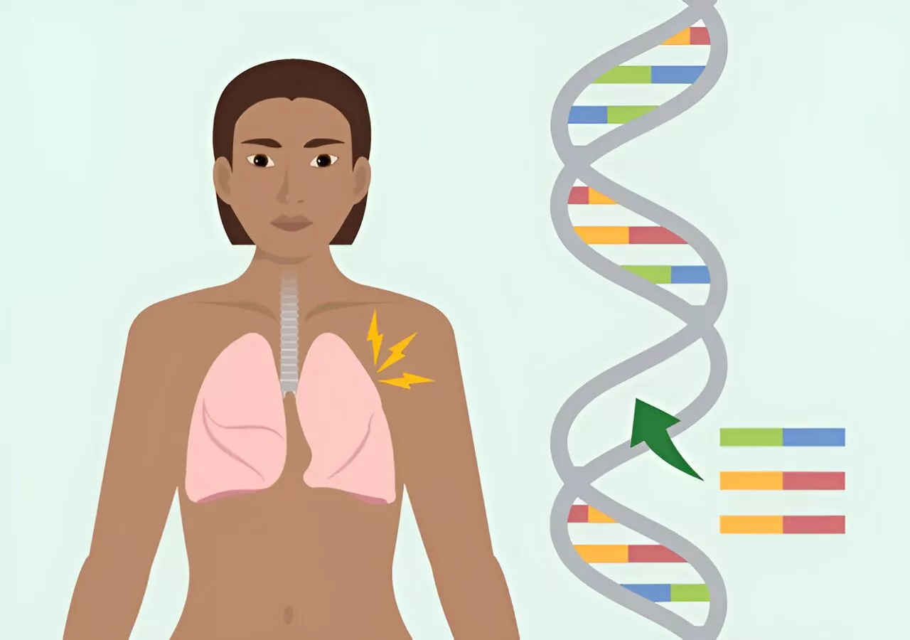 Prime editing efficiently corrects cystic fibrosis mutation in human lung cells, study shows