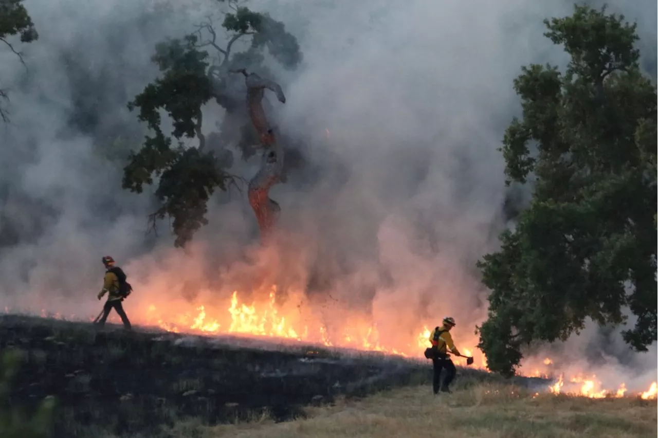 Los Gatos park fire started by a firework, county fire department says