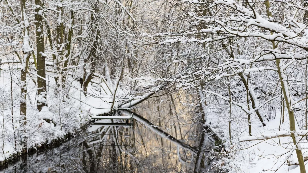 Das sind die spannendsten Lost Places in Zehlendorf