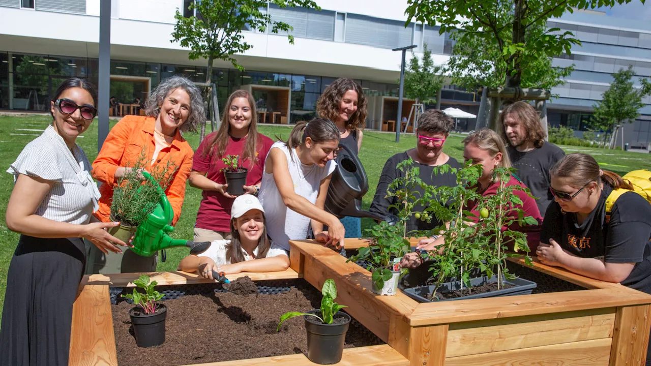 Gemeinsam garteln an der Fachhochschule St. Pölten