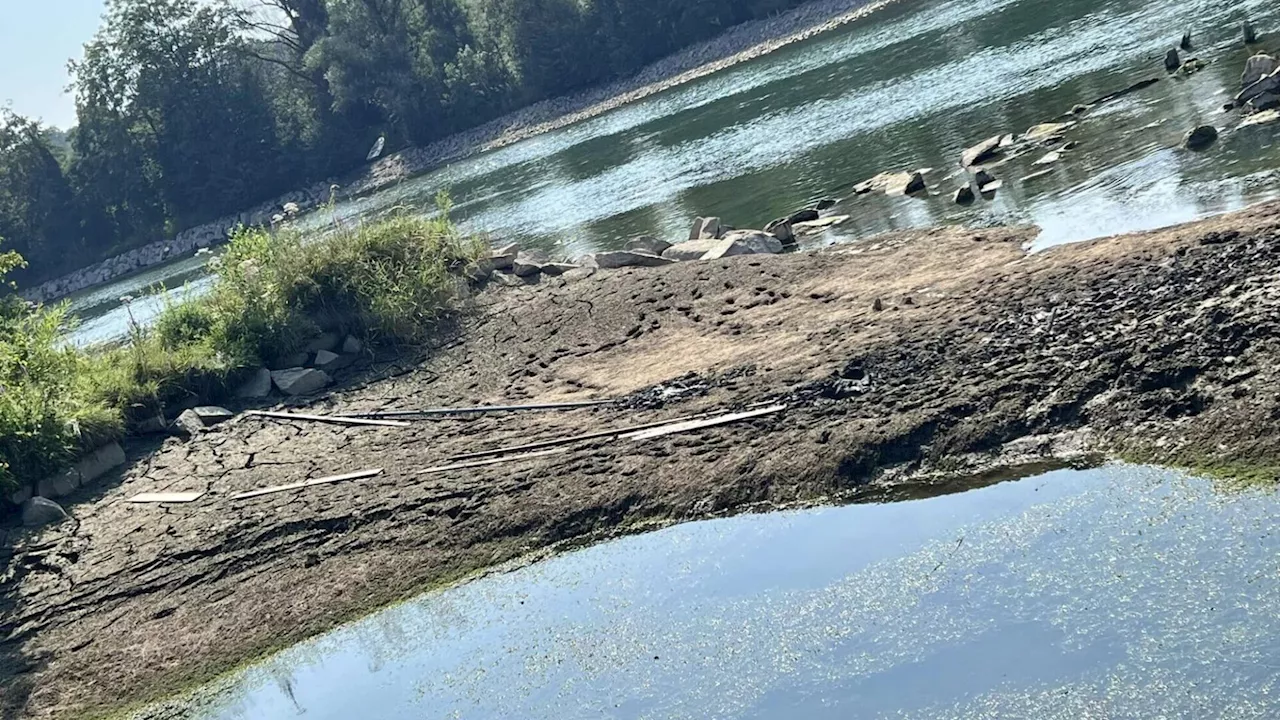 Jugendliche steckten an der Enns im Schlamm fest