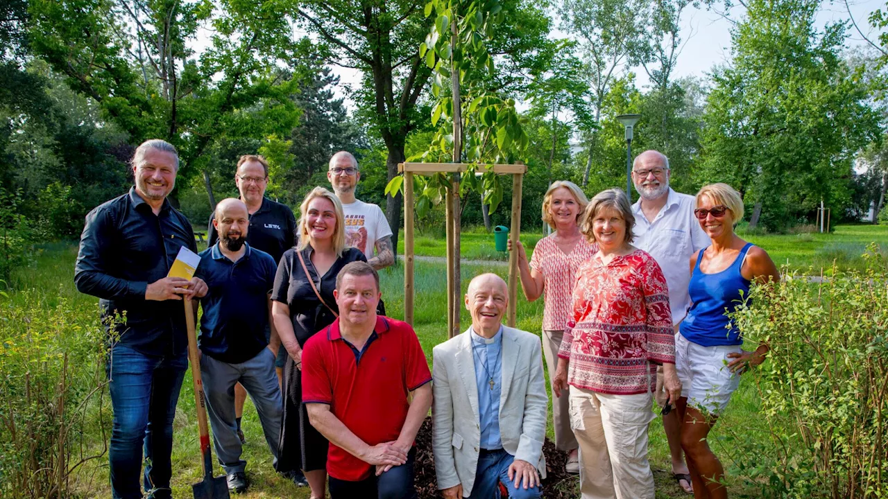 Krems: Alle Religionen sind sich beim Klimaschutz einig