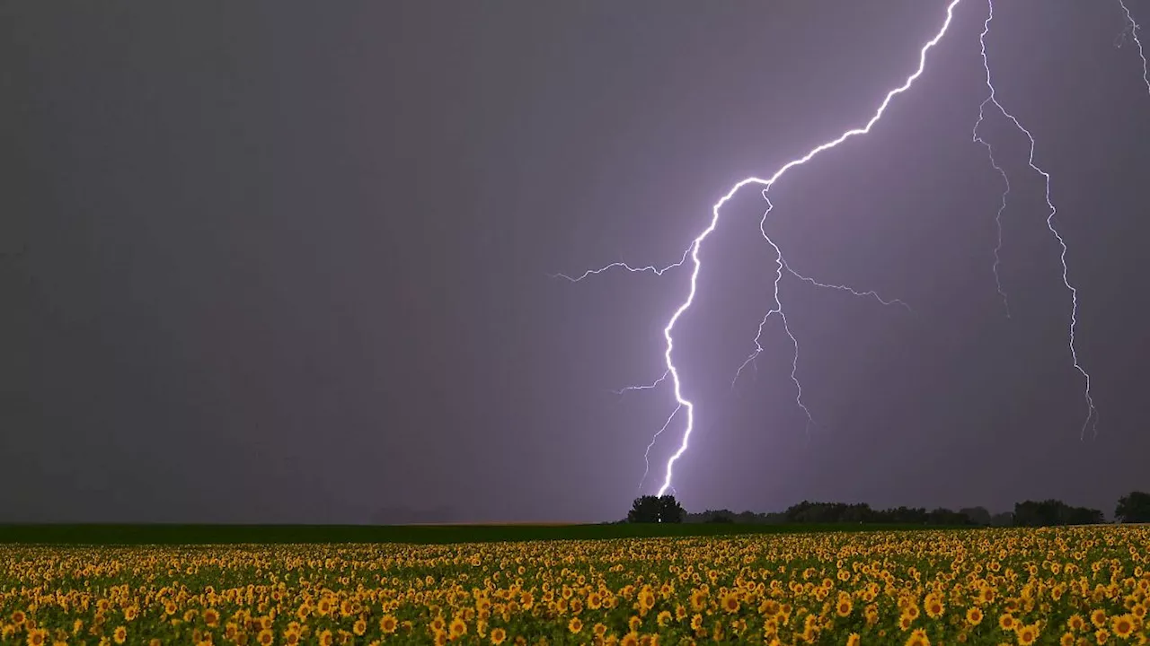 Berlin & Brandenburg: Unwetter mit Starkregen und Sturm in Brandenburg erwartet