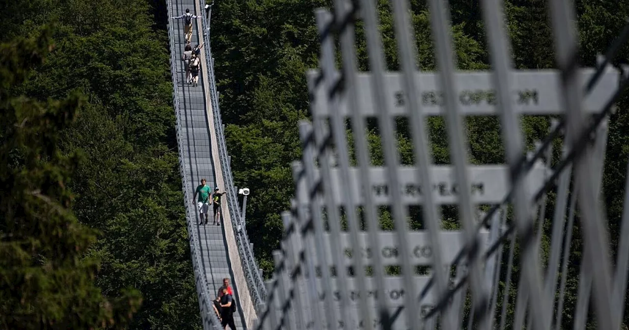 Hängebrücken als Nervenkitzel: 100 Meter über dem Abgrund