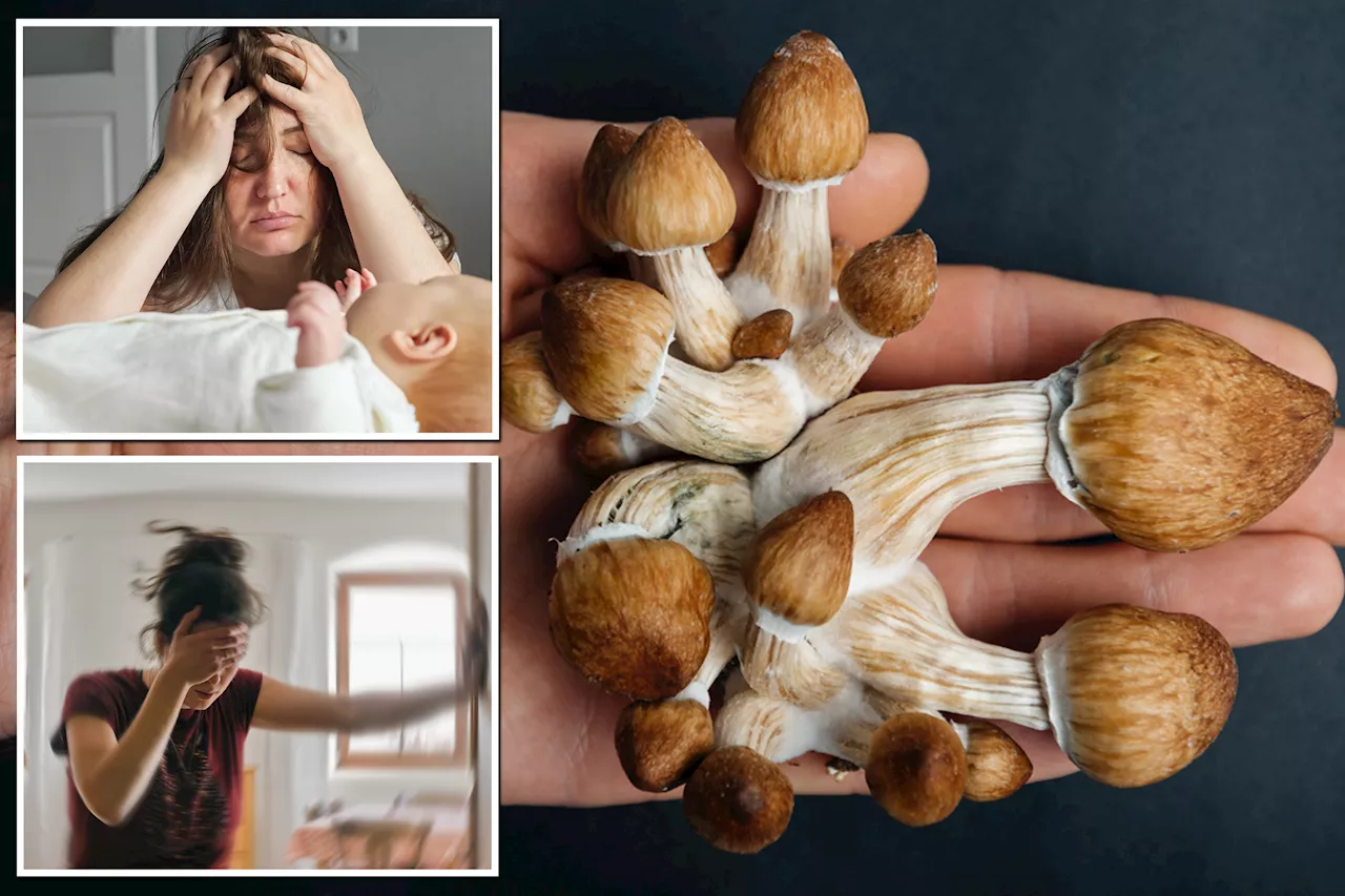 Moms are taking 'magic' mushrooms to manage their parenting stress — but is it safe?