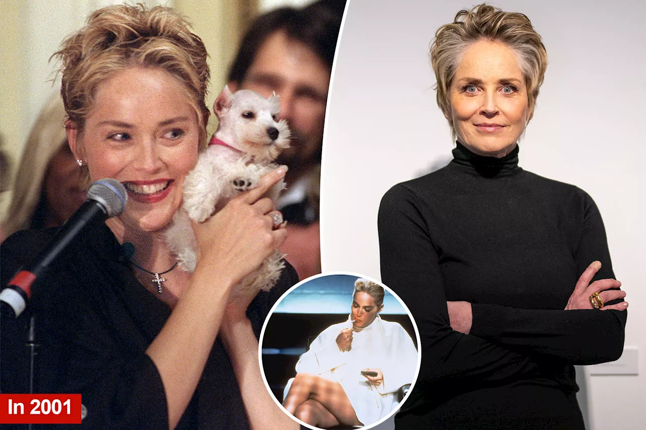 Sharon Stone 'had zero money,' lost $18 million after near-death stroke: 'People took advantage of me'