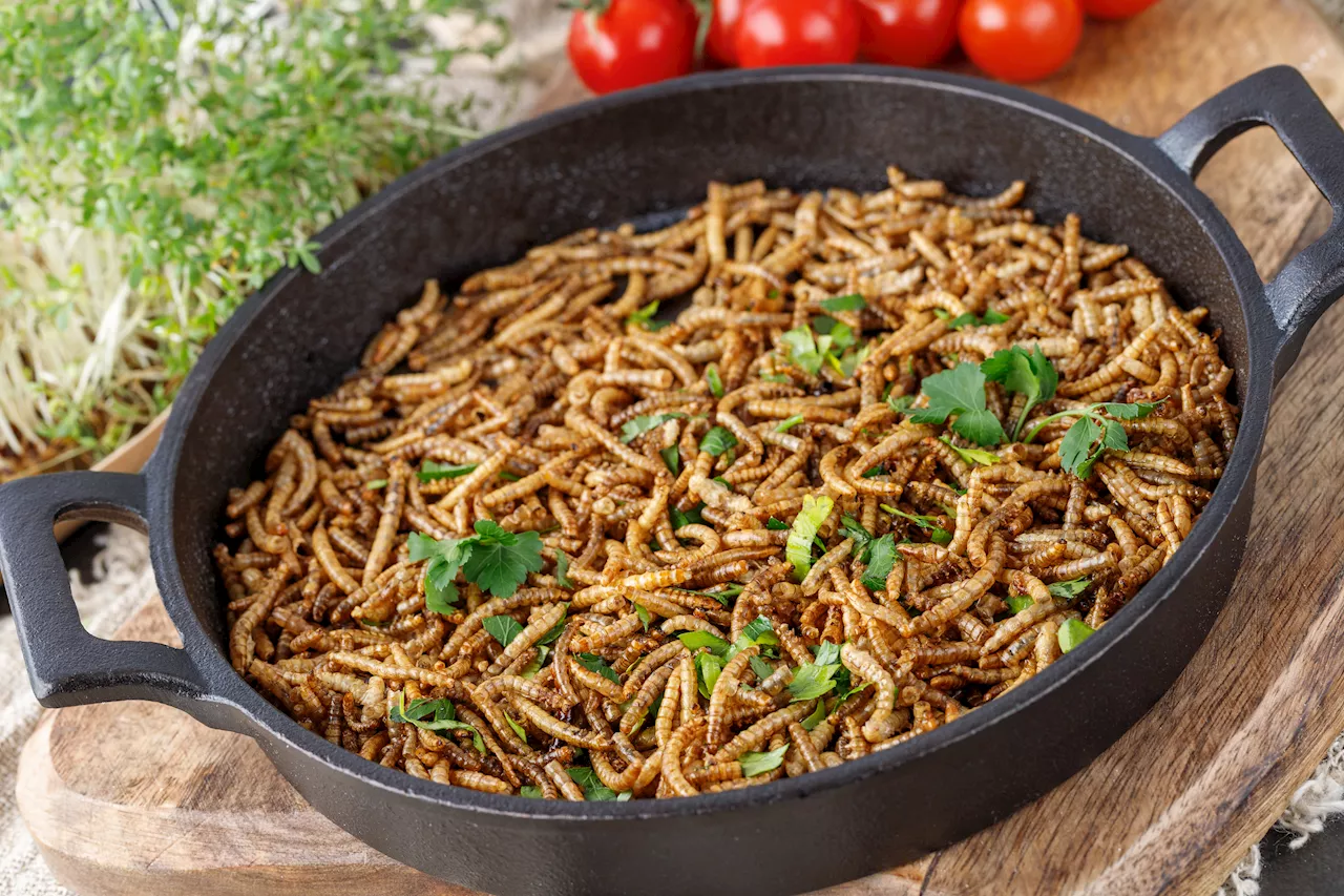 This country just approved 16 insects as food — which buggy bite would you eat?