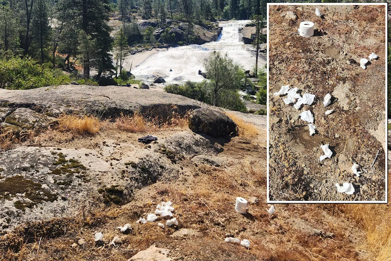 Yosemite National Park tourists blasted for littering hiking trail with used toilet paper