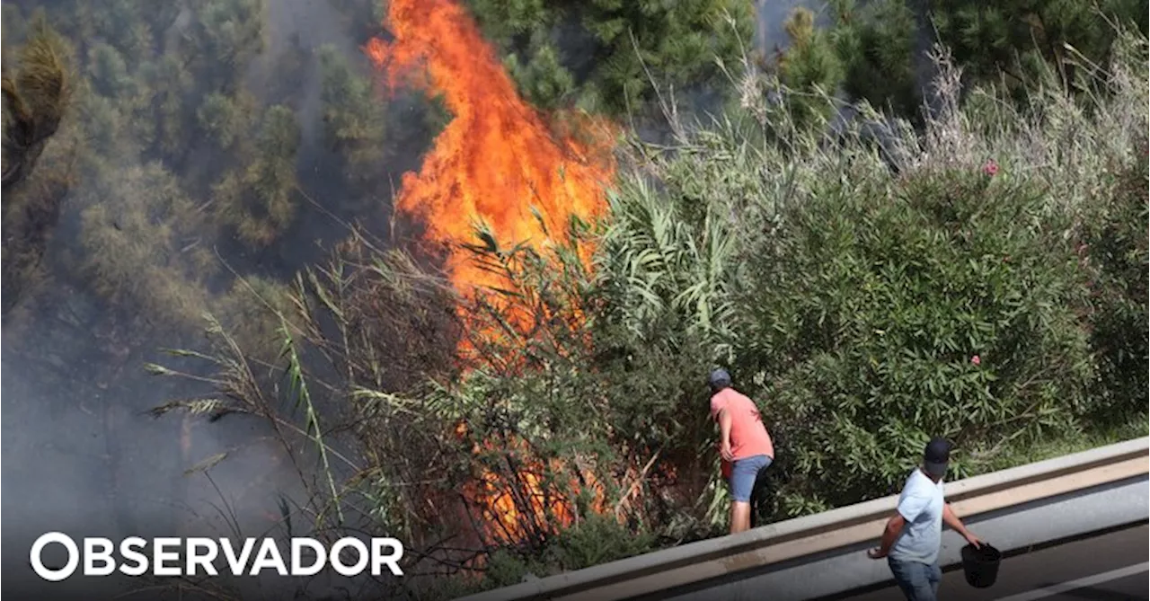 Madeira registou 95 incêndios entre 1 de junho e 8 de julho