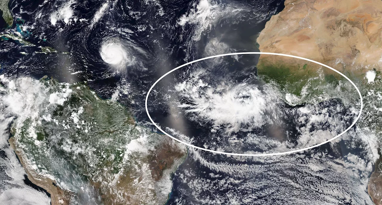 Meteorological study provides enhanced understanding of tropical atmospheric waves
