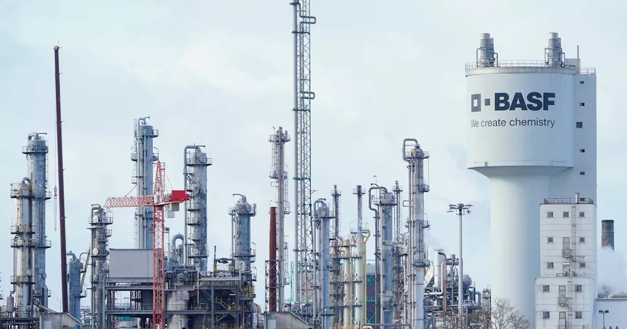 BASF stoppt Produktion von Unkrautvernichter Glufosinat​