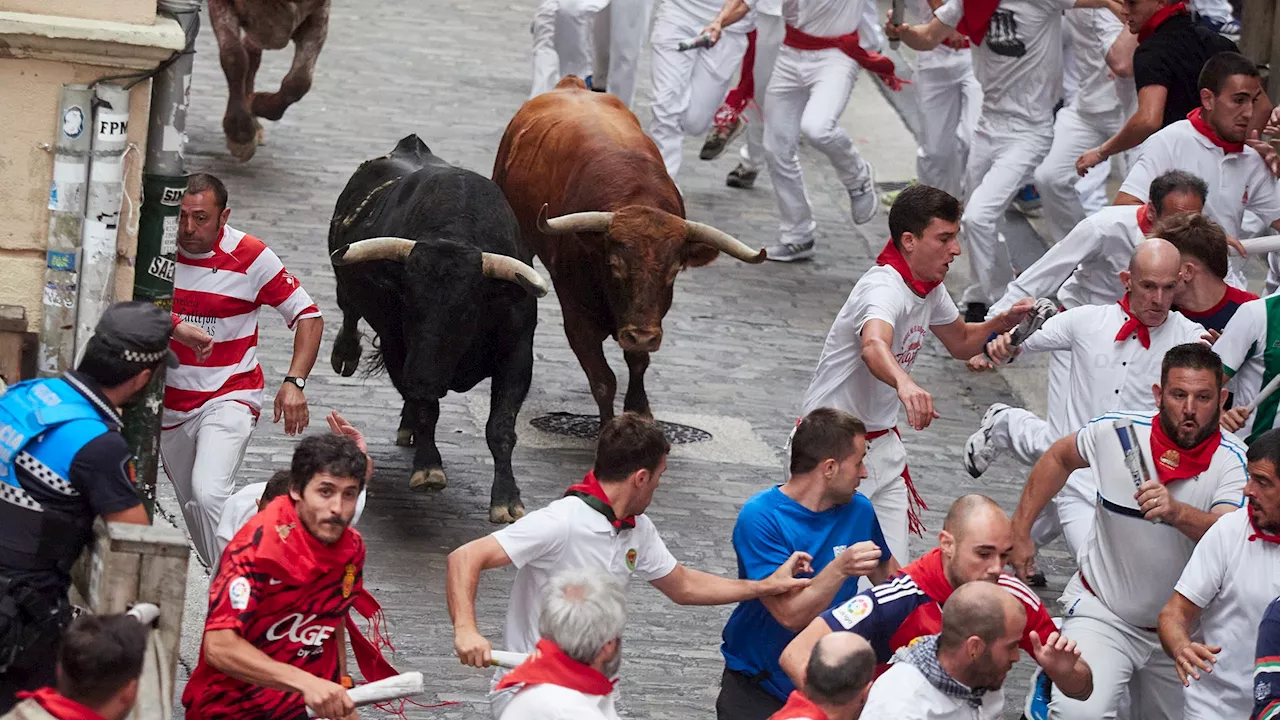 Hora, dónde ver hoy en TV y toros de la ganadería del Cuarto Encierro de San Fermín 2024