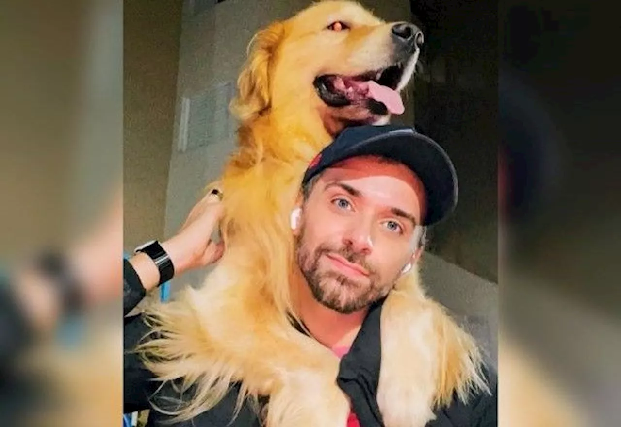 Caso Joca: Polícia Civil de Guarulhos conclui que cachorro morreu dentro de avião