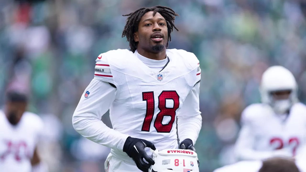 Arizona Cardinals Pass Rusher 'Will Be Special' Entering Year 2