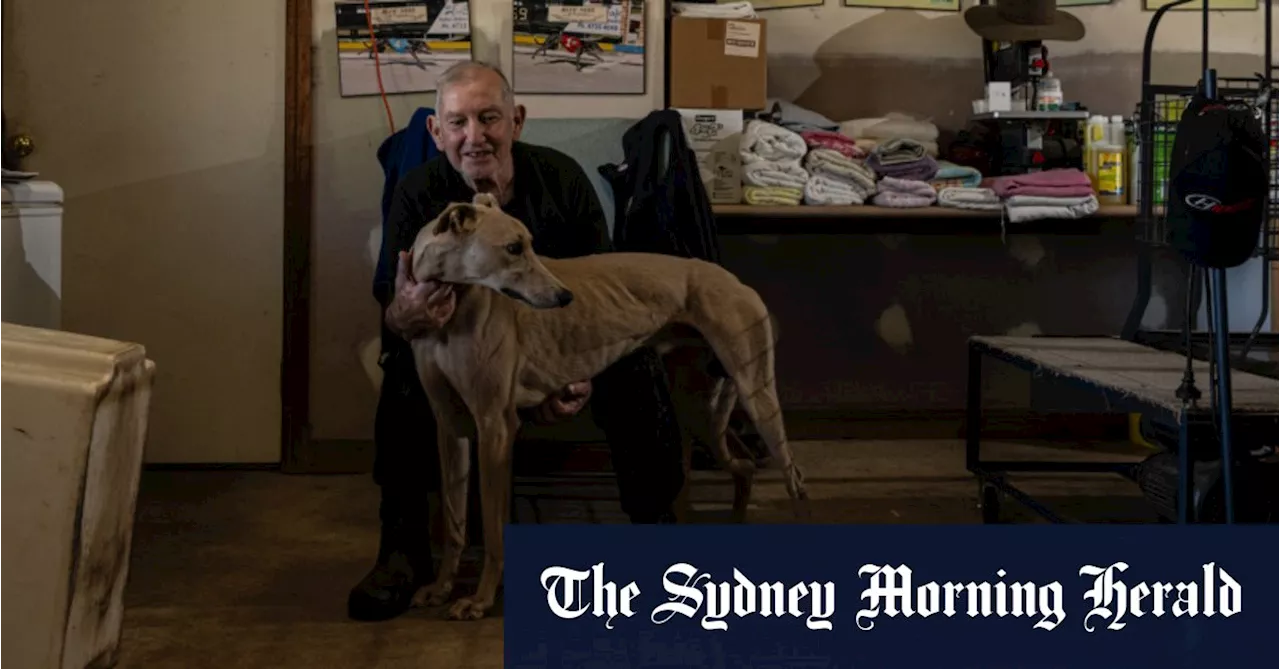 ‘It’s just another hit for us’: Veteran greyhound trainer bites back