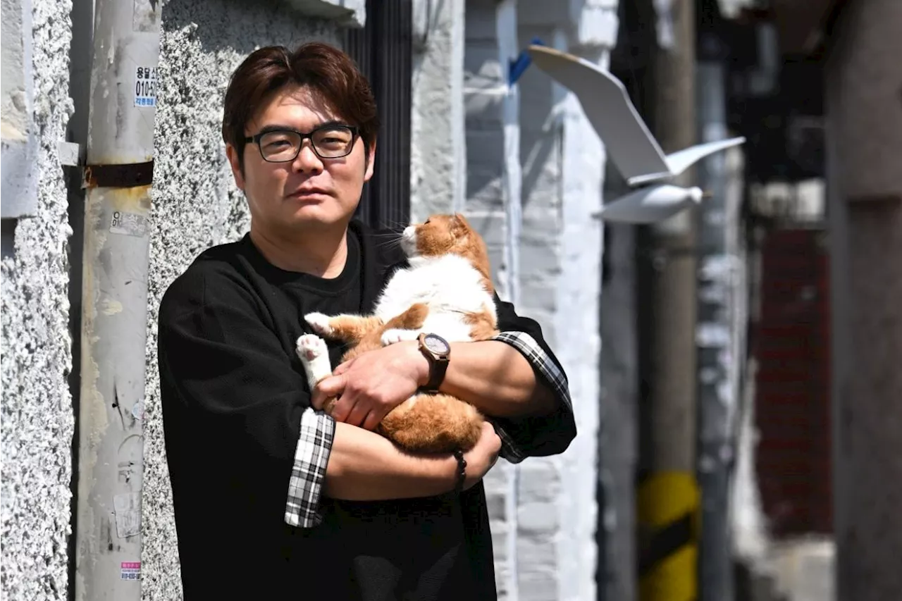 How this 'cat detective' finds missing felines in Seoul