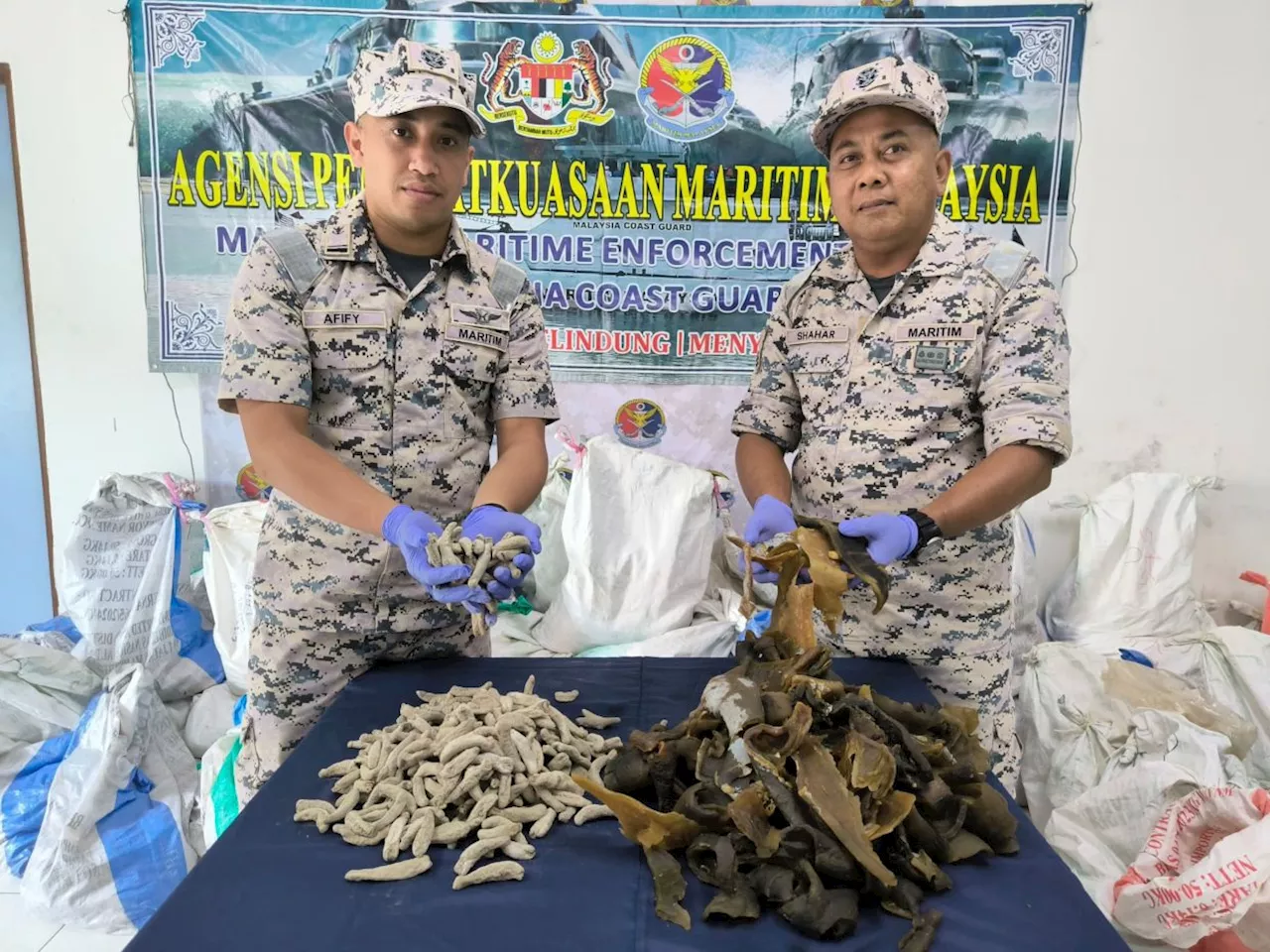 Kudat MMEA crippled attempt to smuggle protected turtle meat and sea cucumber