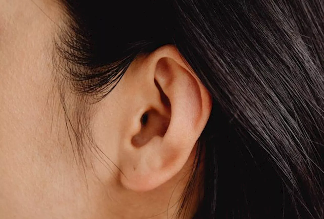 QuickCheck: Can we ‘hear’ through our skulls?