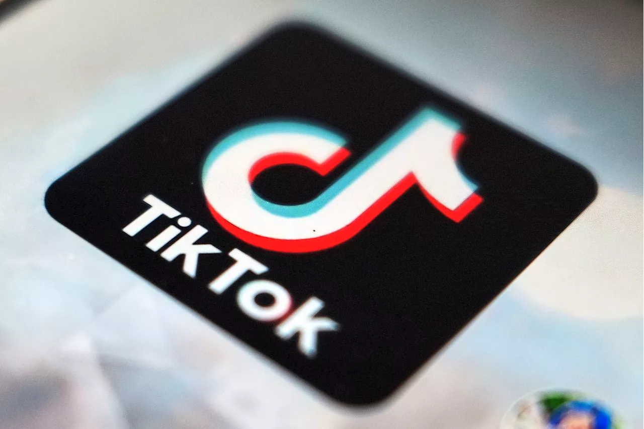 QuickCheck: Is there a fake TikTok account using the Selangor Raja Muda's name to scam victims?